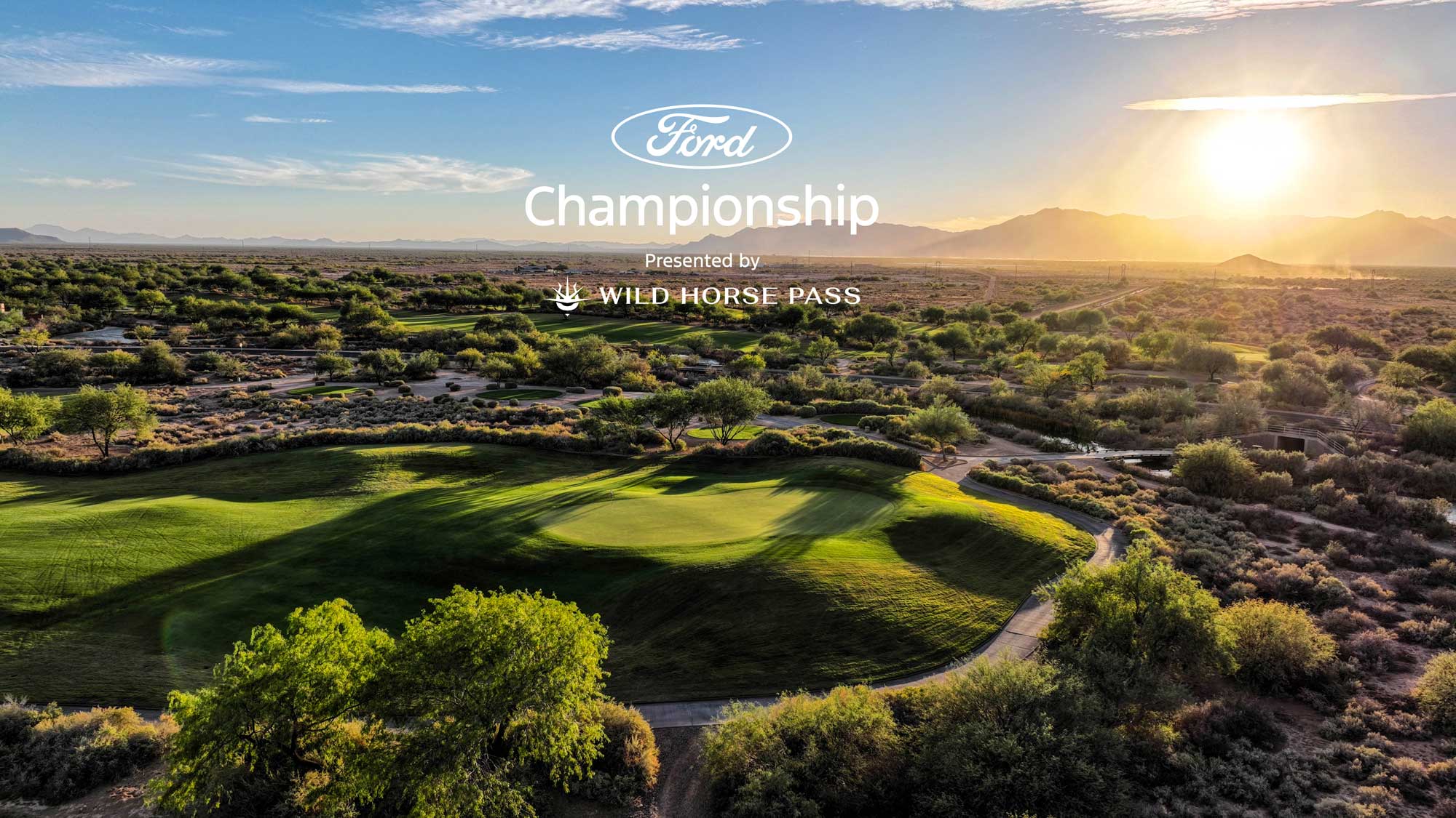 Cattail with Logo 2026